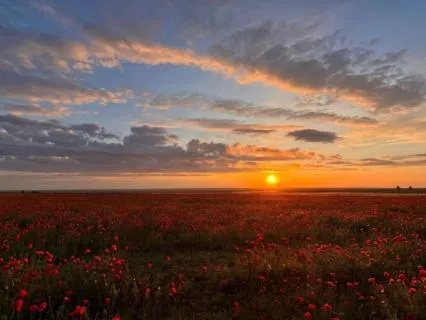 Psalm 32: Christian Meditation, The Relief Of Forgiveness