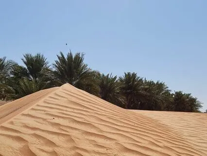 Psalm 32 - The Contemplative Bible Meditation Series