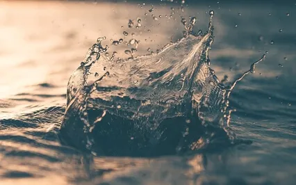 Psalm 34: A Lectio Divina