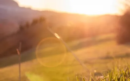 Psalm 37: A Lectio Divina