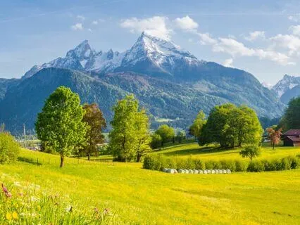 Psalm 37 - The Contemplative Bible Meditation Series