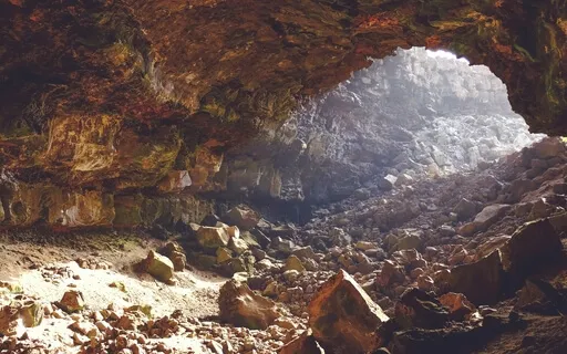 Psalm 38: A Lectio Divina