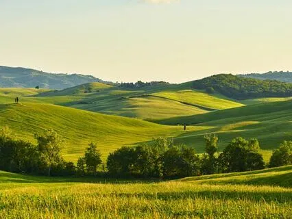 Psalm 38 - The Contemplative Bible Meditation Series