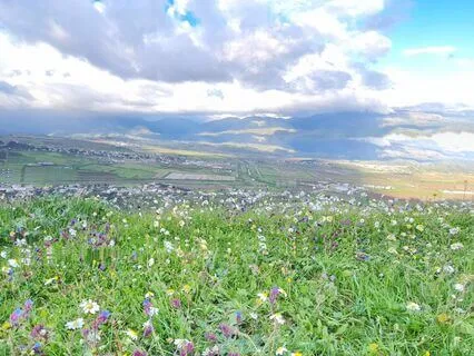 Psalm 40 - The Contemplative Bible Meditation Series