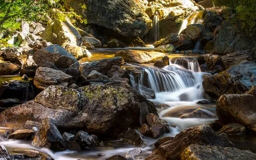 Psalm 42: A Lectio Divina