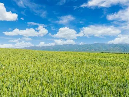 Psalm 46 - The Contemplative Bible Meditation Series