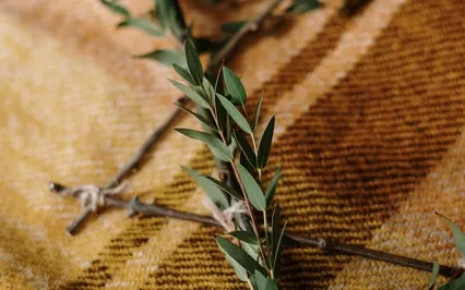 Psalm 5: Lead Me In Your Righteousness