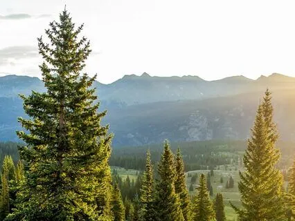 Psalm 50 - The Contemplative Bible Meditation Series