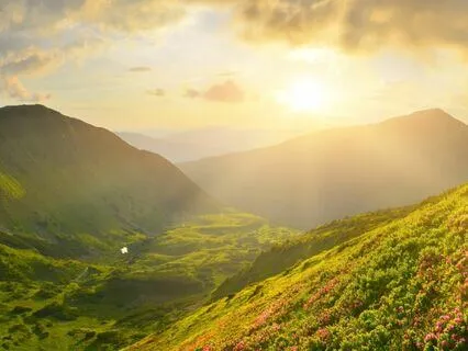 Psalm 52 - The Contemplative Bible Meditation Series