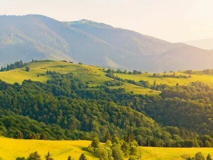 Psalm 56 - The Contemplative Bible Meditation Series