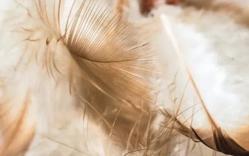 Psalm 57: A Lectio Divina