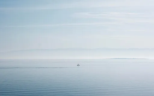 Psalm 59: A Lectio Divina