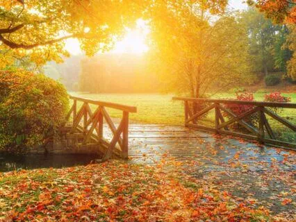 Psalm 59 - The Contemplative Bible Meditation Series