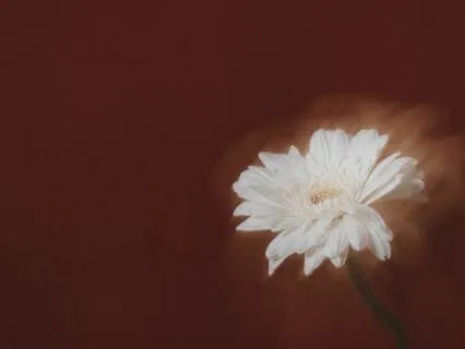 Psalm 6: Christian Meditation For Emotional Exhaustion