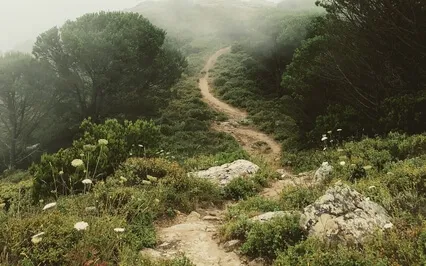 Psalm 60: A Lectio Divina