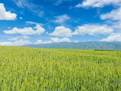 Psalm 62 - The Contemplative Bible Meditation Series