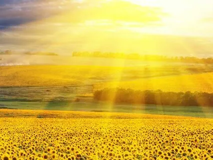 Psalm 64 - The Contemplative Bible Meditation Series