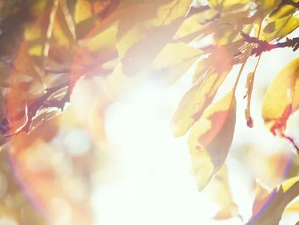 Psalm 67: A Lectio Divina