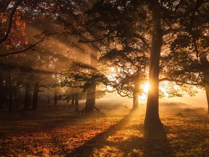 Psalm 68, Part 2: A Lectio Divina