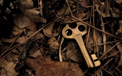 Psalm 73: A Lectio Divina