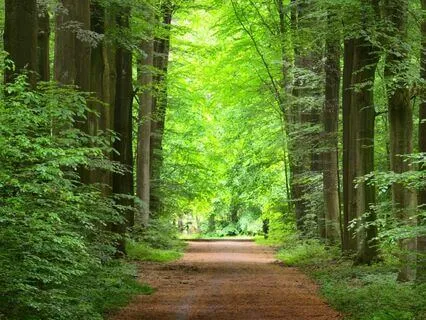 Psalm 74 - The Contemplative Bible Meditation Series