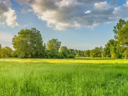 Psalm 75 - The Contemplative Bible Meditation Series