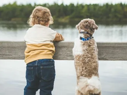 Psalm 77: A Lectio Divina