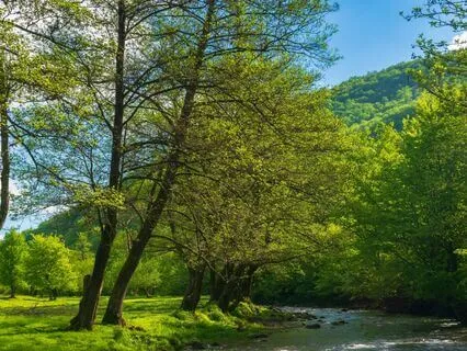 Psalm 78 - The Contemplative Bible Meditation Series