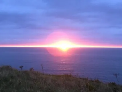 Psalm 8: A Lectio Divina