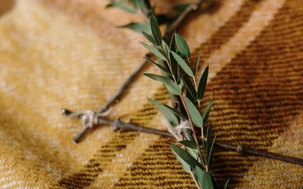 Psalm 8: How Majestic Is Your Name!