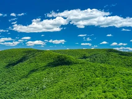 Psalm 81 - The Contemplative Bible Meditation Series