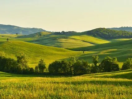 Psalm 85 - The Contemplative Bible Meditation Series