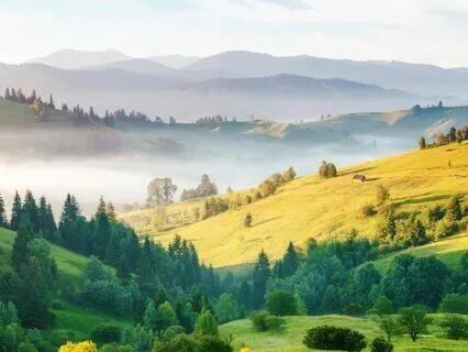 Psalm 86 - The Contemplative Bible Meditation Series