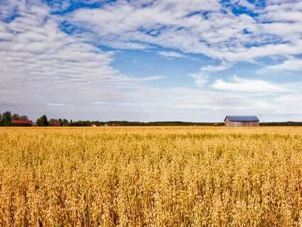 Psalm 90 - The Contemplative Bible Meditation Series