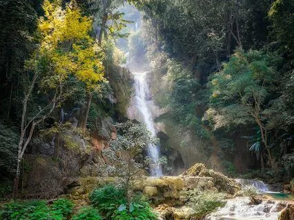 Psalm 91 Reading - Protection And Refuge