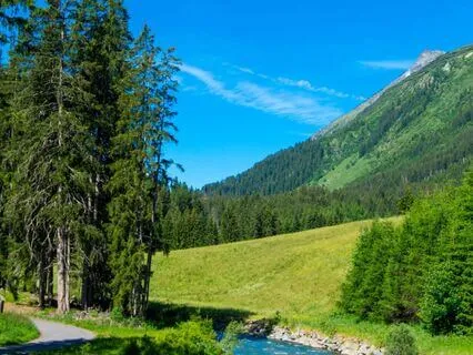 Psalm 92 - The Contemplative Bible Meditation Series