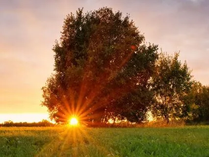 Psalm 96 - The Contemplative Bible Meditation Series