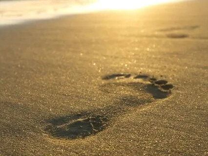 Psalm For The Veterans