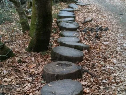 Psalm For Those Afflicted With Lyme Disease