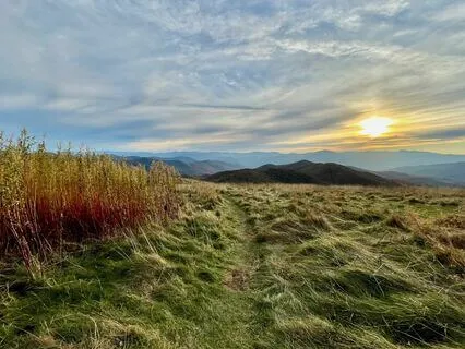 Psalm Prayer for Weariness