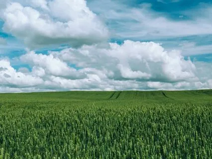 Psalms 23 | Christian Meditation