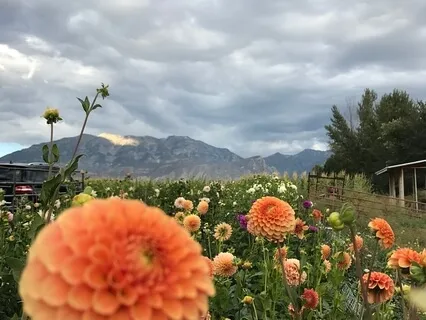 Психофизическая Зарядка. Часть 1