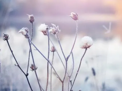 Psychic Activation With Those Who See Clearly