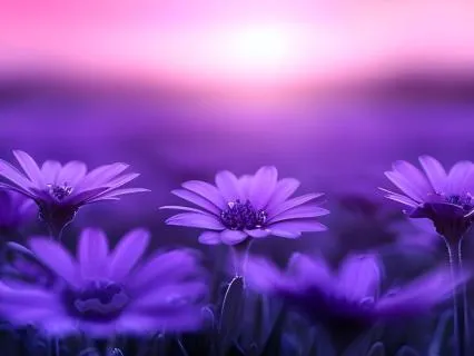 Psychic Connection To Hear Your Spirit Guide's Message Now