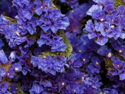 Psychic Sleep Meditation With White Light Protection