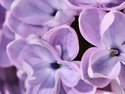 Psychic Vision Meditation: 11:11 Portal To Your Higher Self