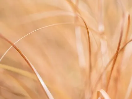 Psychic Vision Meditation With Archangel Uriel