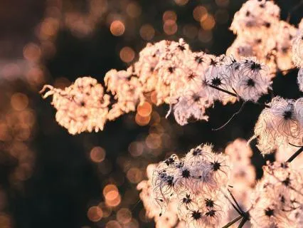 Psychic Vision - Show Me What I Cannot See - Sleep Meditation