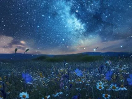 Psychic Connection With The Beings Of Pure White Light