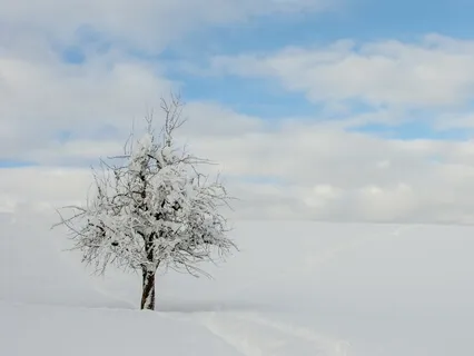 Psychoacoustic Training